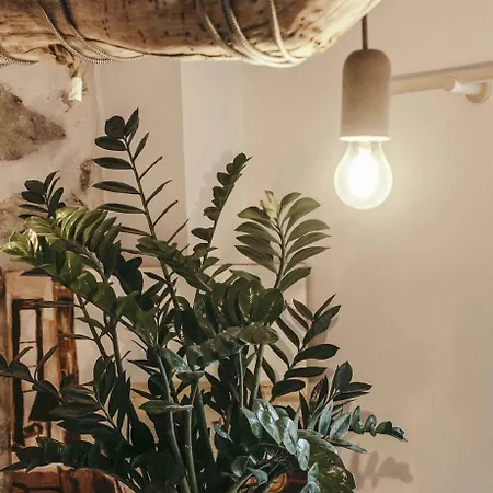 French California, Studio - Au Calme - Centre - Tout A Pied Apartment Biarritz